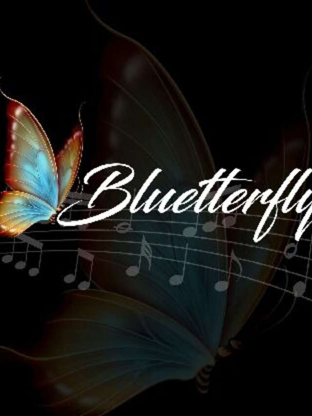 BLUETTERFLY concert - Christmas market