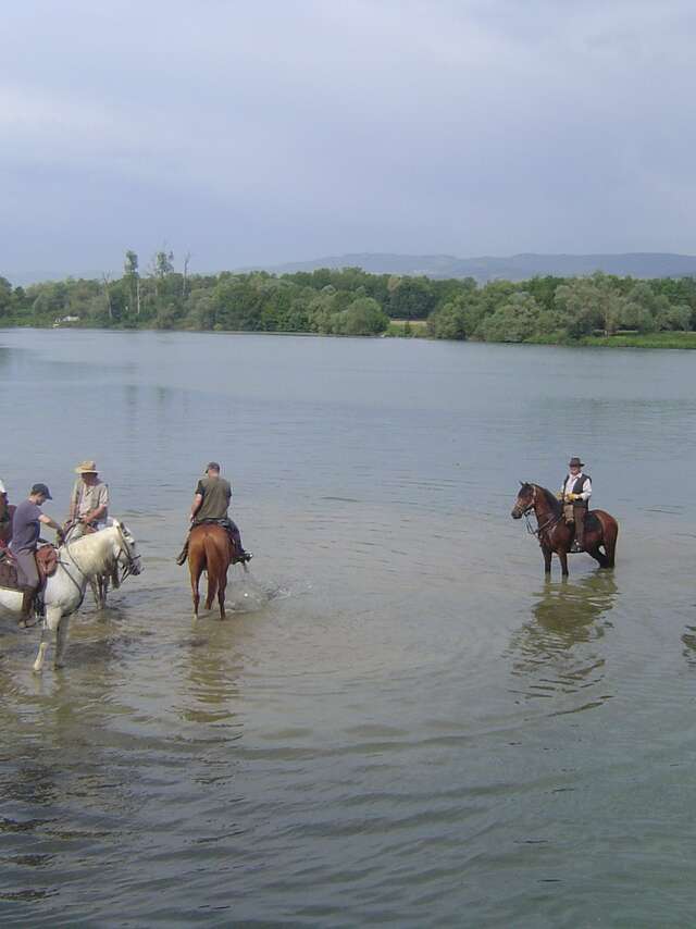 Ferme Passion - Centre Equestre