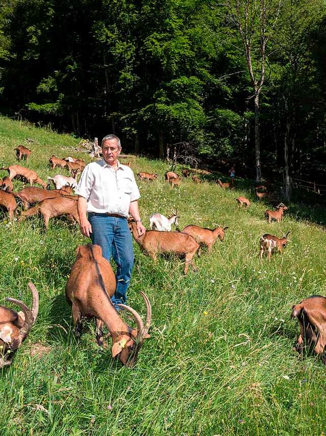 La Ferme du Petit Mont