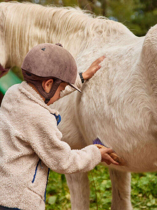 Monde du cheval