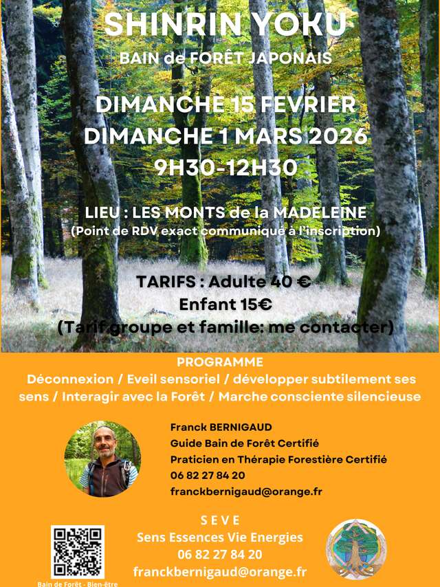 "Shinrin Yoku" bain de forêt Japonais