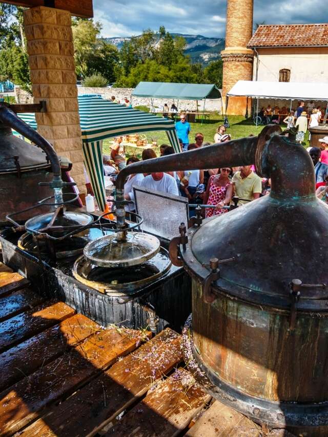 Fête de la lavande fine de Haute-provence