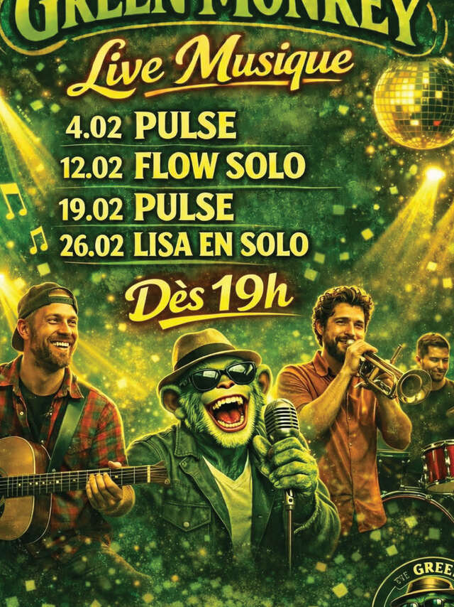 Konzertabend im Green Monkey Pub : Lisa solo