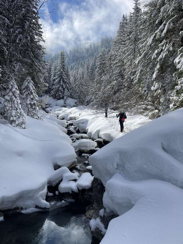 Begeleide sneeuwschoenwandelingen