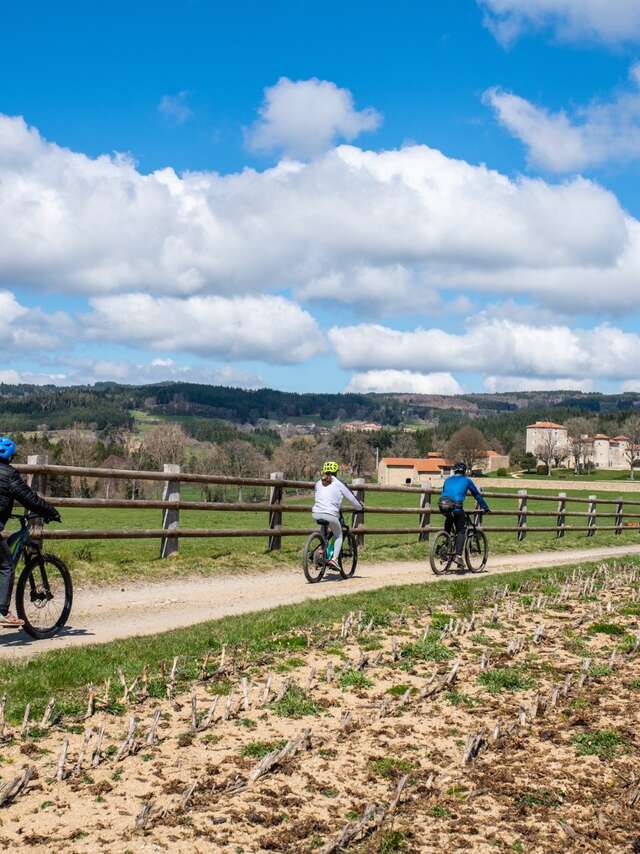 Location de VTT et VTTAE - REVE BIKE
