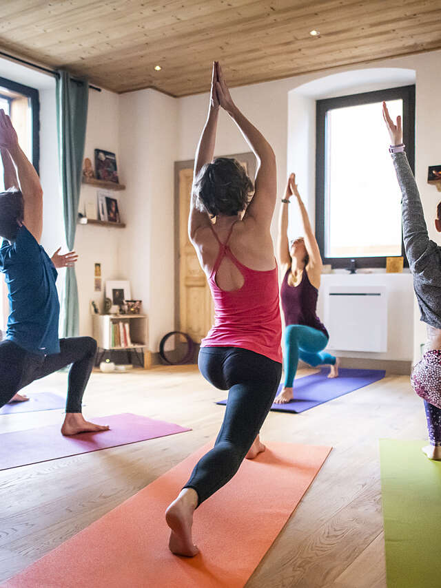 Yoga : hatha yoga et pranayamas