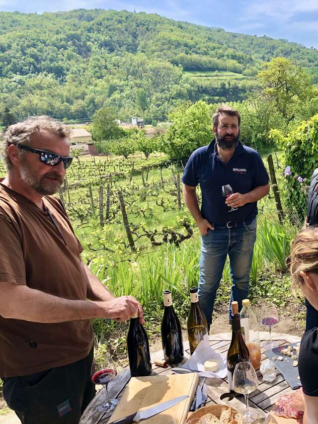 Apéro sunset dans les vignes - Domaine Grenier
