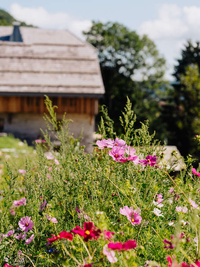 Forêt Ivre - Frédéric Molina