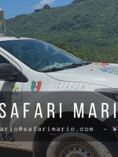 Safari Mario Moorea