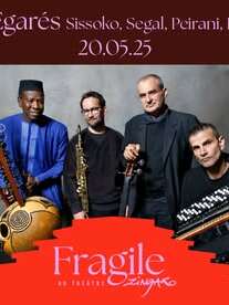 Concert - Festival Fragile - Les Egarés - Sissoko, Segal, Peirani, Parisien