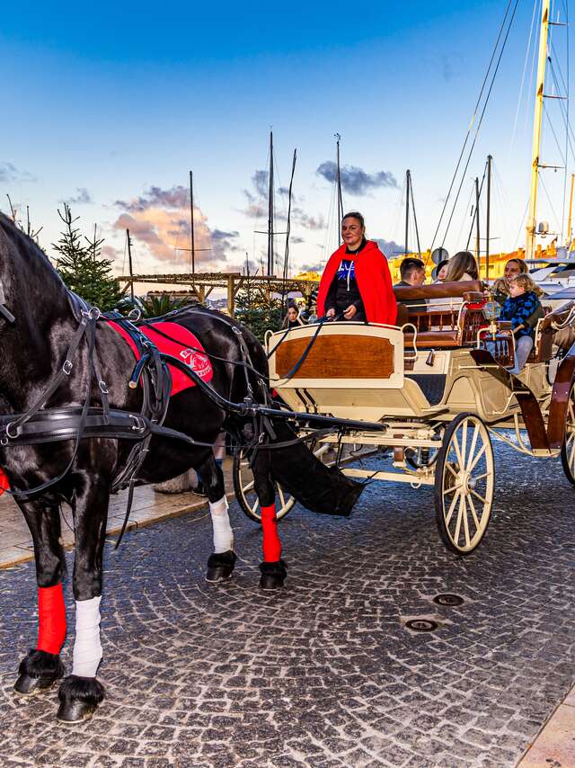 Spaziergänge mit der Kutsche