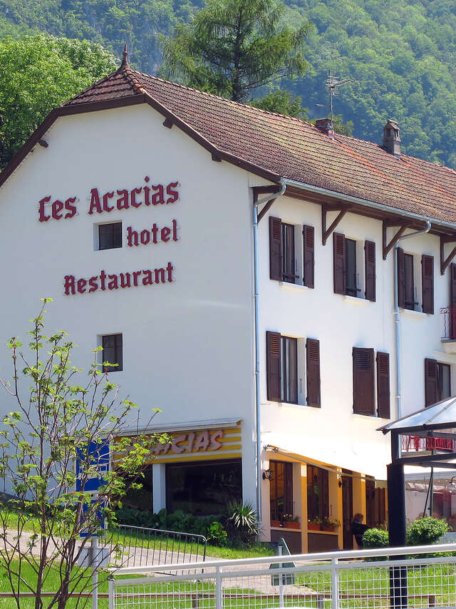 Hôtel Les Acacias Bellevue
