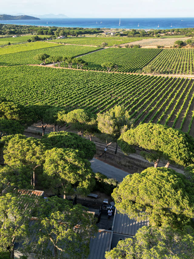 Domaine des Tournels