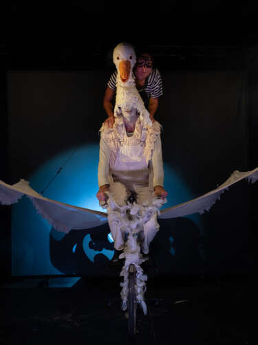 Spectacle - Le merveilleux voyage de Nils