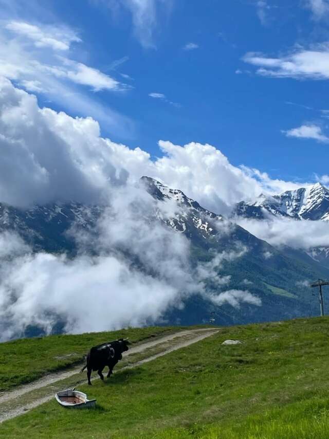 Fête de la mi-été 2025