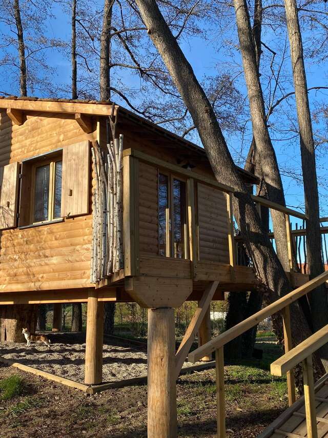 Cabane sur pilotis du Surizet