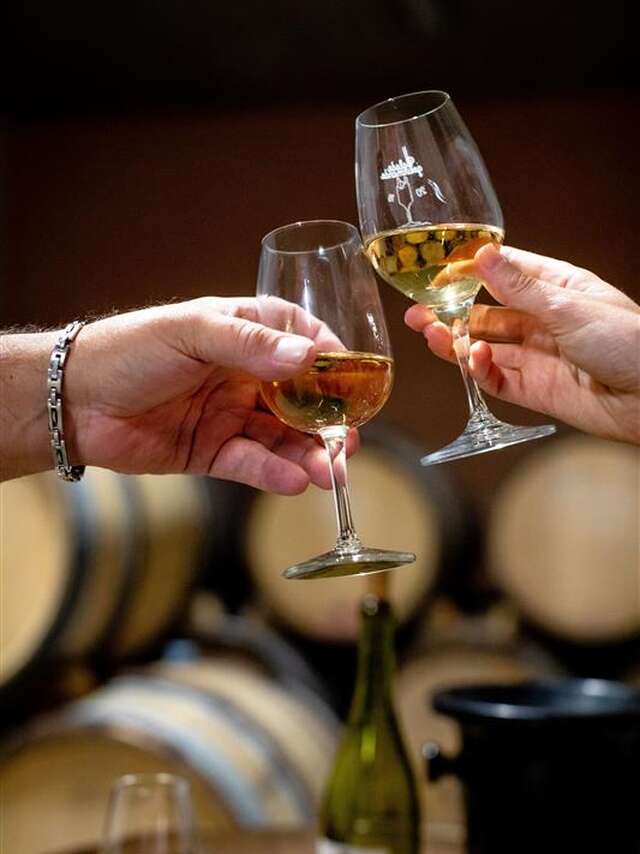 Atelier : découverte immersive des vins de Savoie