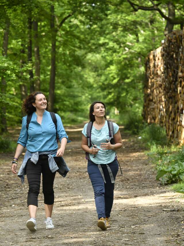 Les arbres remarquables en famille en forêt de Saint-Germain