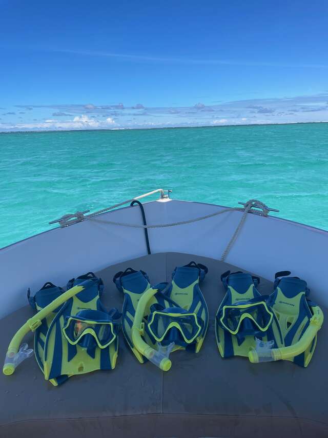 Polyn'Easy Dive and Tours - Sortie baleines