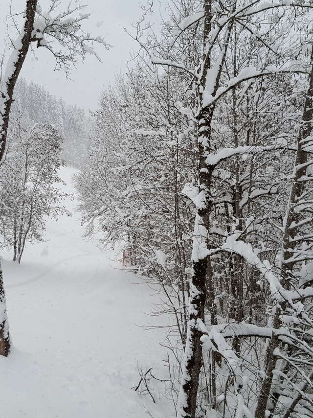 Itinéraire piéton - raquettes 19 - La Vallée du Bouchet