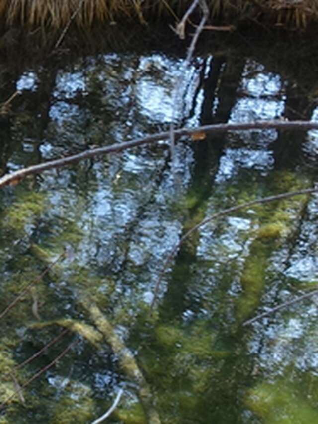 Sortie grand public autour des Nays