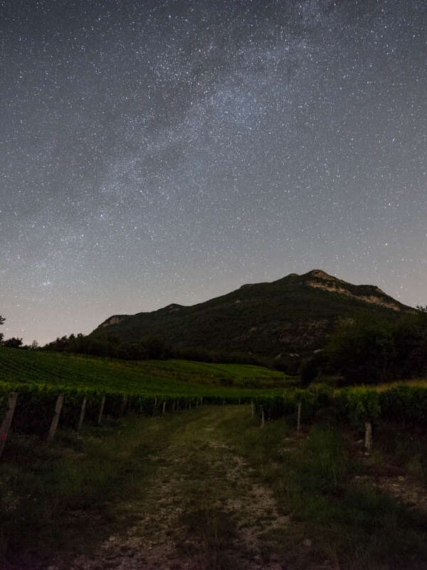 A la croisée des vins et des étoiles