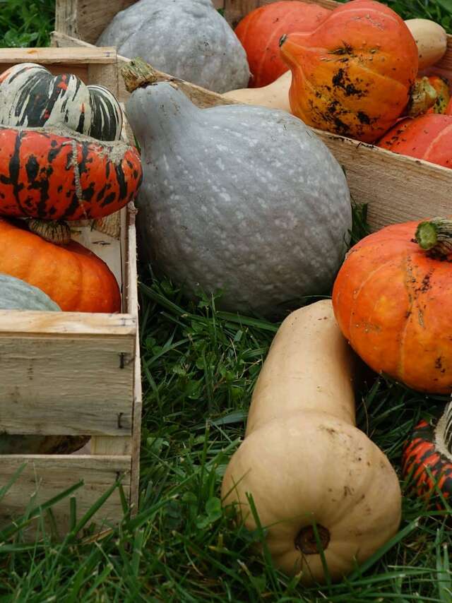 Evènement - Soupe d'automne