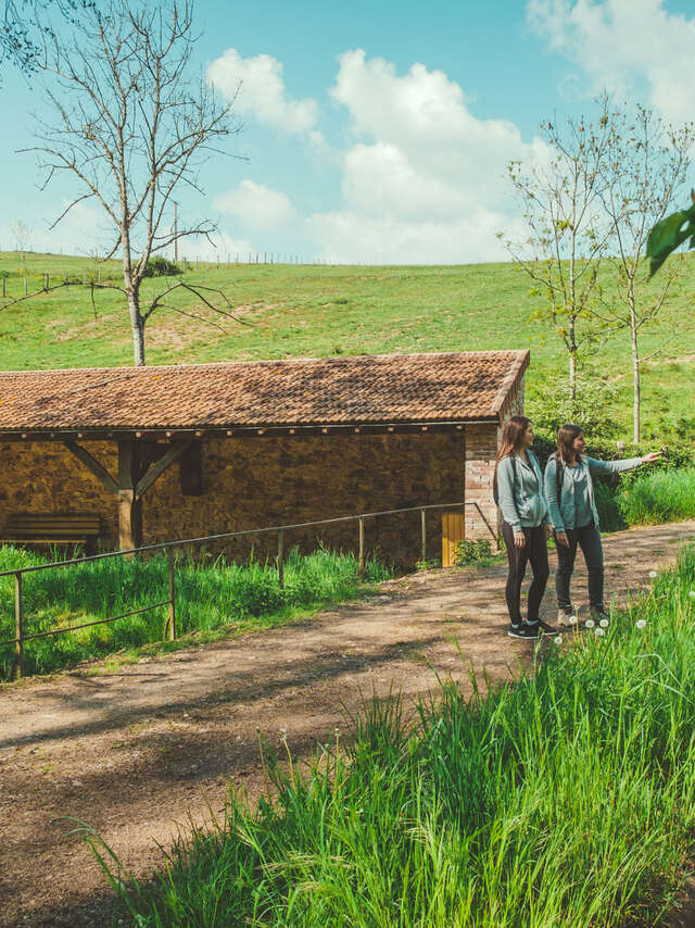 Via Sancti Martini : Cordelle / Roanne - Variante