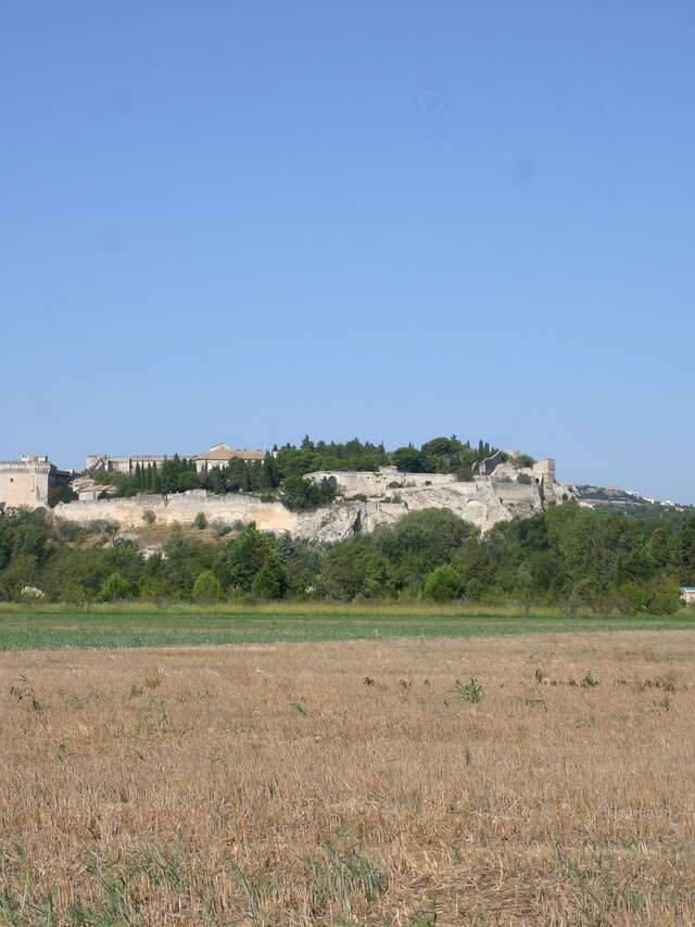 La plaine de l'Abbaye