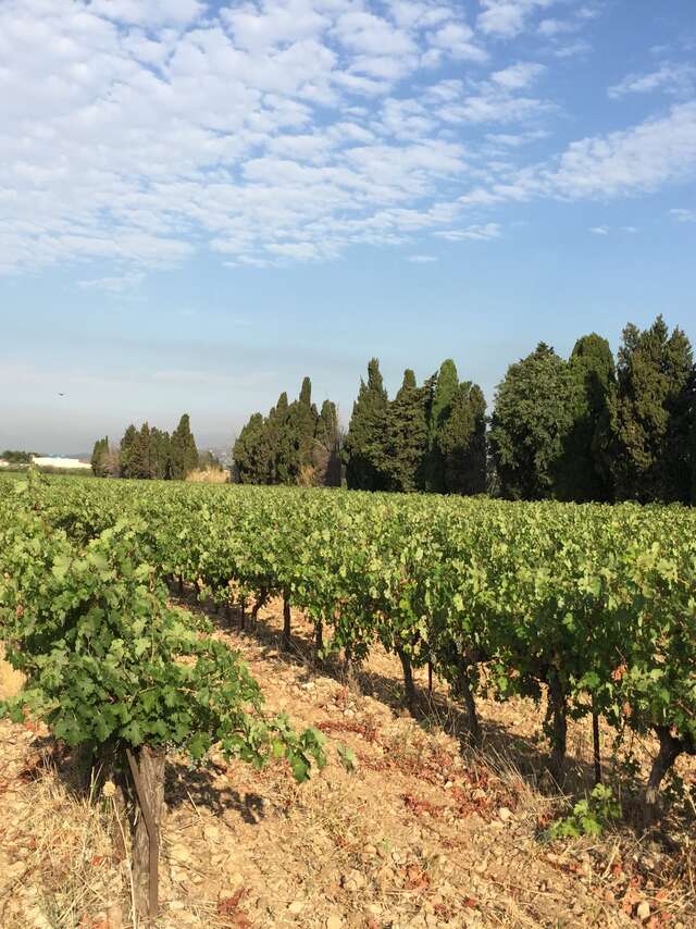 Domaine Roustan