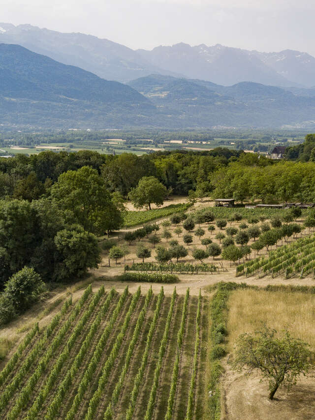 Domaine des Rutissons