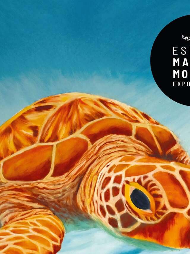 Mostra di Philippe Leborne