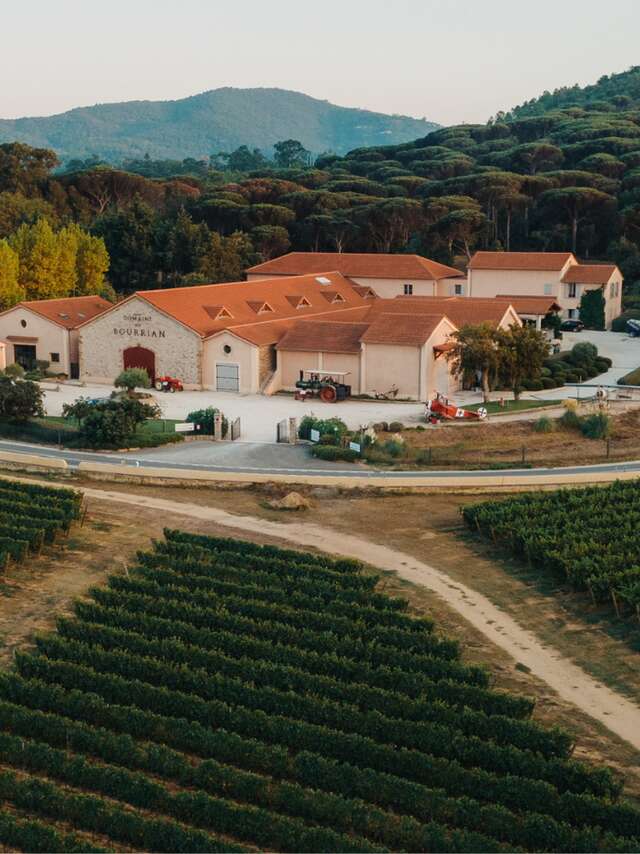 Domaine viticole du Bourrian