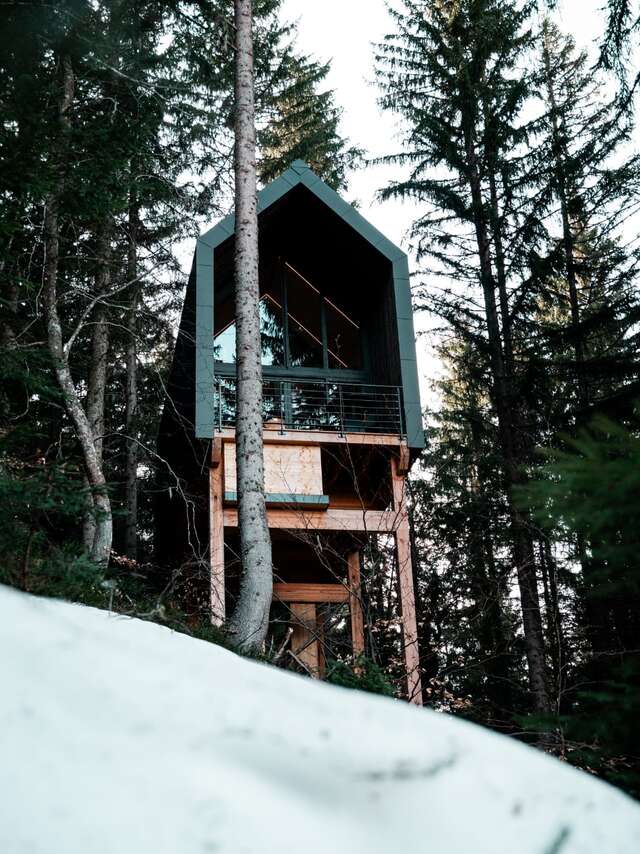 The Scandinavian cabin