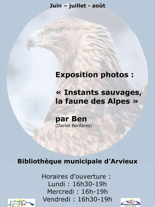 Exposition photos : Instants sauvages, la faune des Alpes