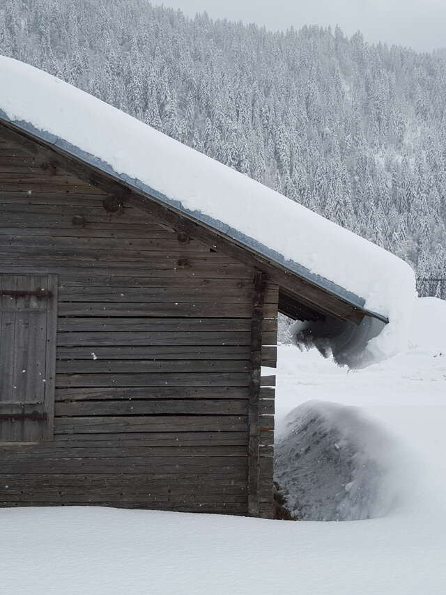 Itinéraire piéton - raquettes 19 - La Vallée du Bouchet