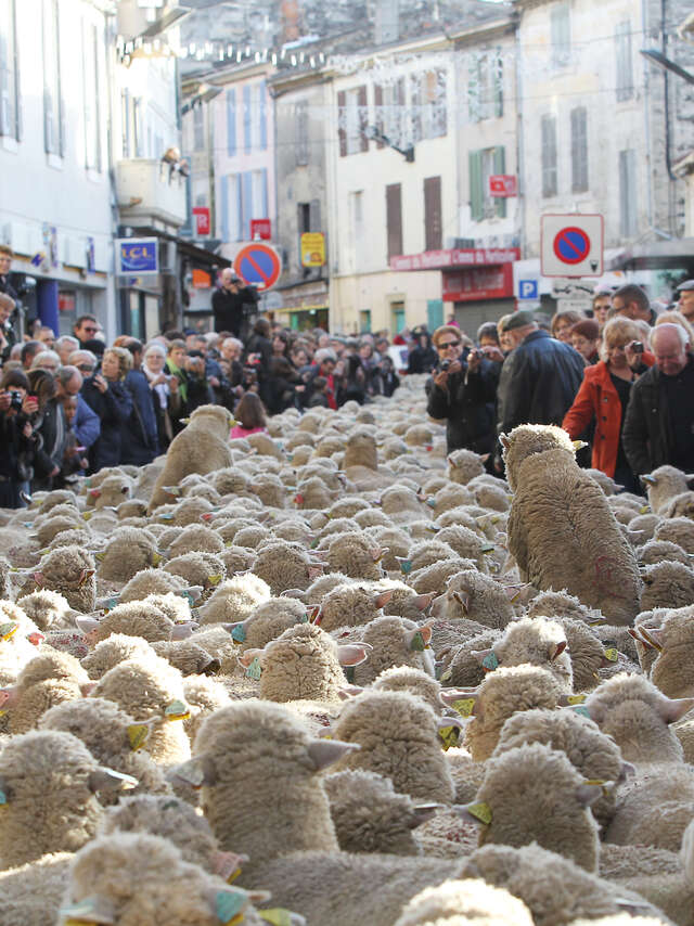 Fête des Bergers et des Traditions
