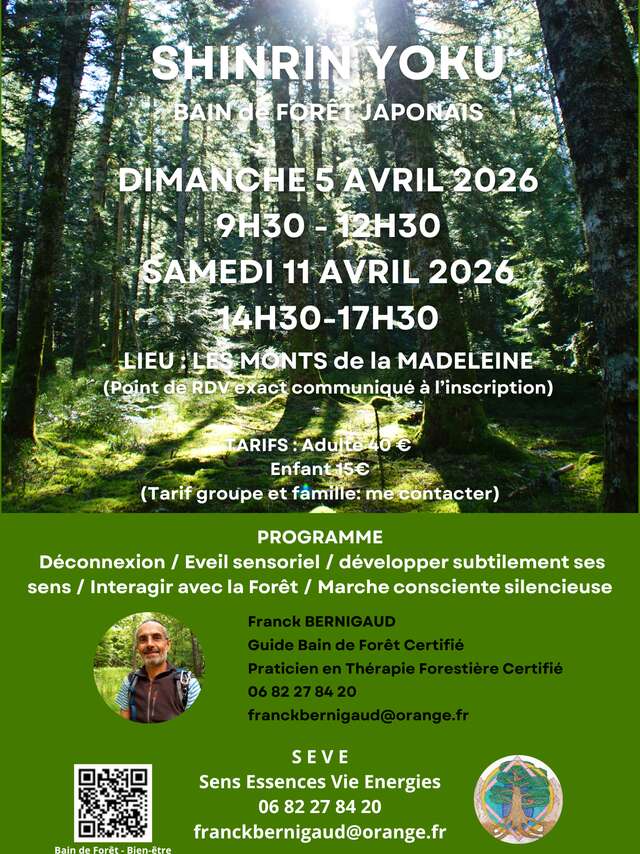 Shinrin yoku bain de forêt japonais