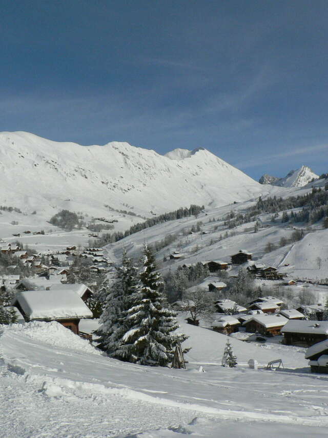 Itinerary pedestrian - snowshoe 38 - Les Mouilles