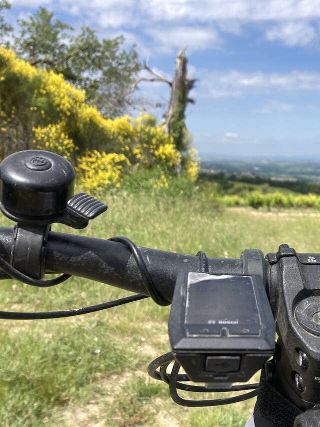 La Campagne à vélo