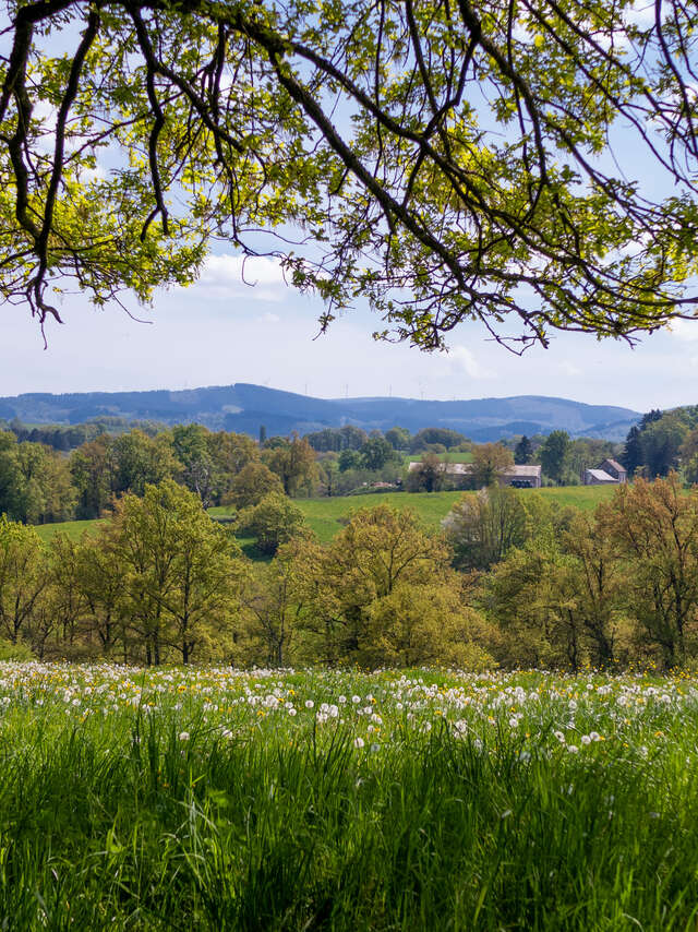 Randonnée gourmande chez un héliciculteur local à Nizerolles