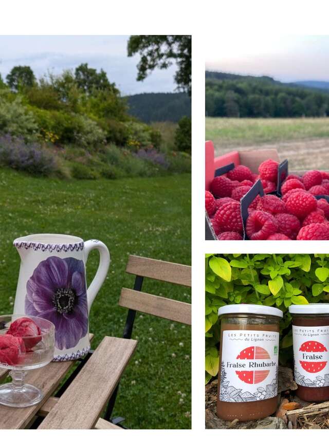 Les Petits Fruits du Lignon