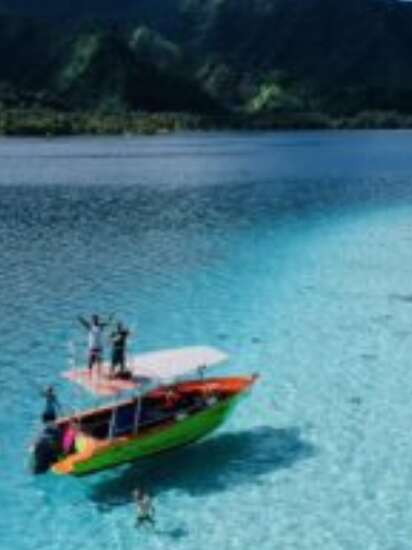 Teahupoo Tours And Surf Adventures - Sortie baleines