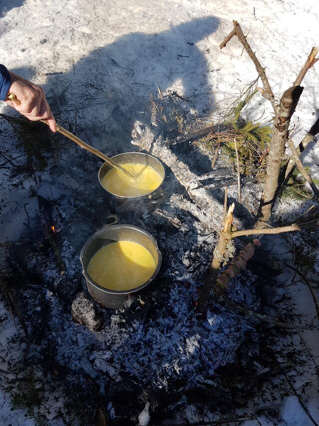 Randonnée raquettes sur le Plateau de retord avec Sylvain Poncet