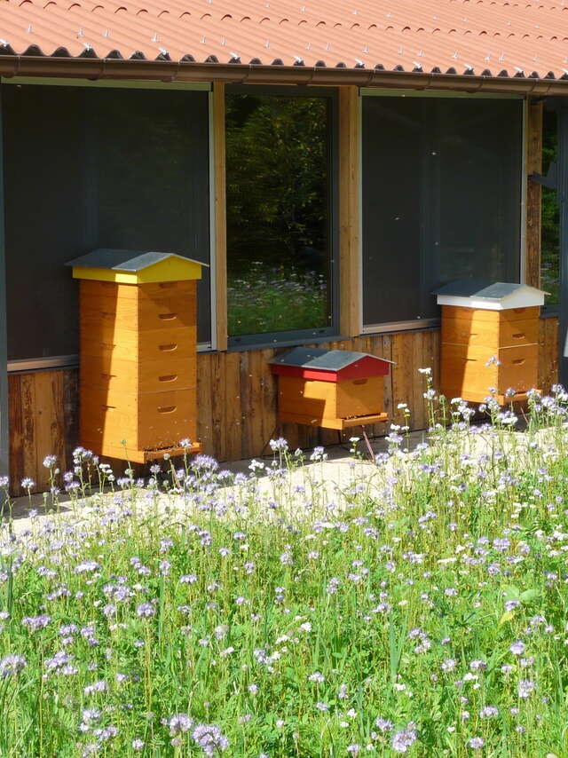 Le Rucher de l'Arboretum