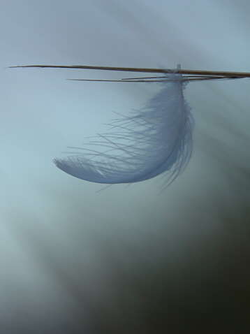 Balade photographique- Spécial photo minimaliste à La Pointe