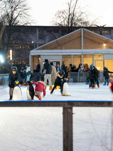 Animation - La patinoire d'Épinay + Spectacle sur glace