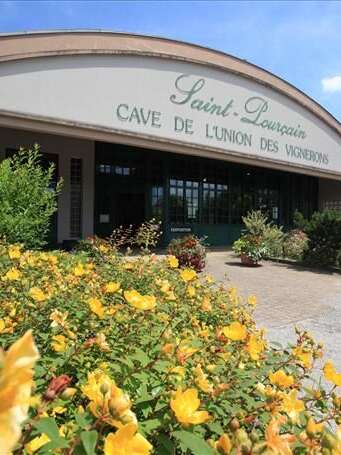 Excursion touristique "Petits matins Grands crus"