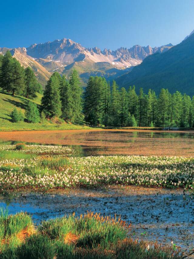 Lac de Roue