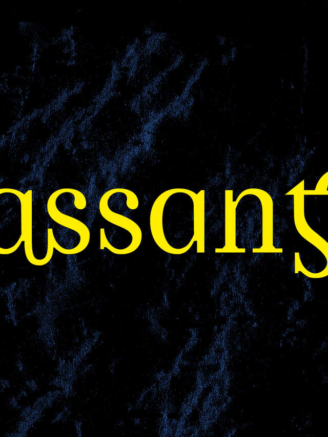 Exposition : Passant.es